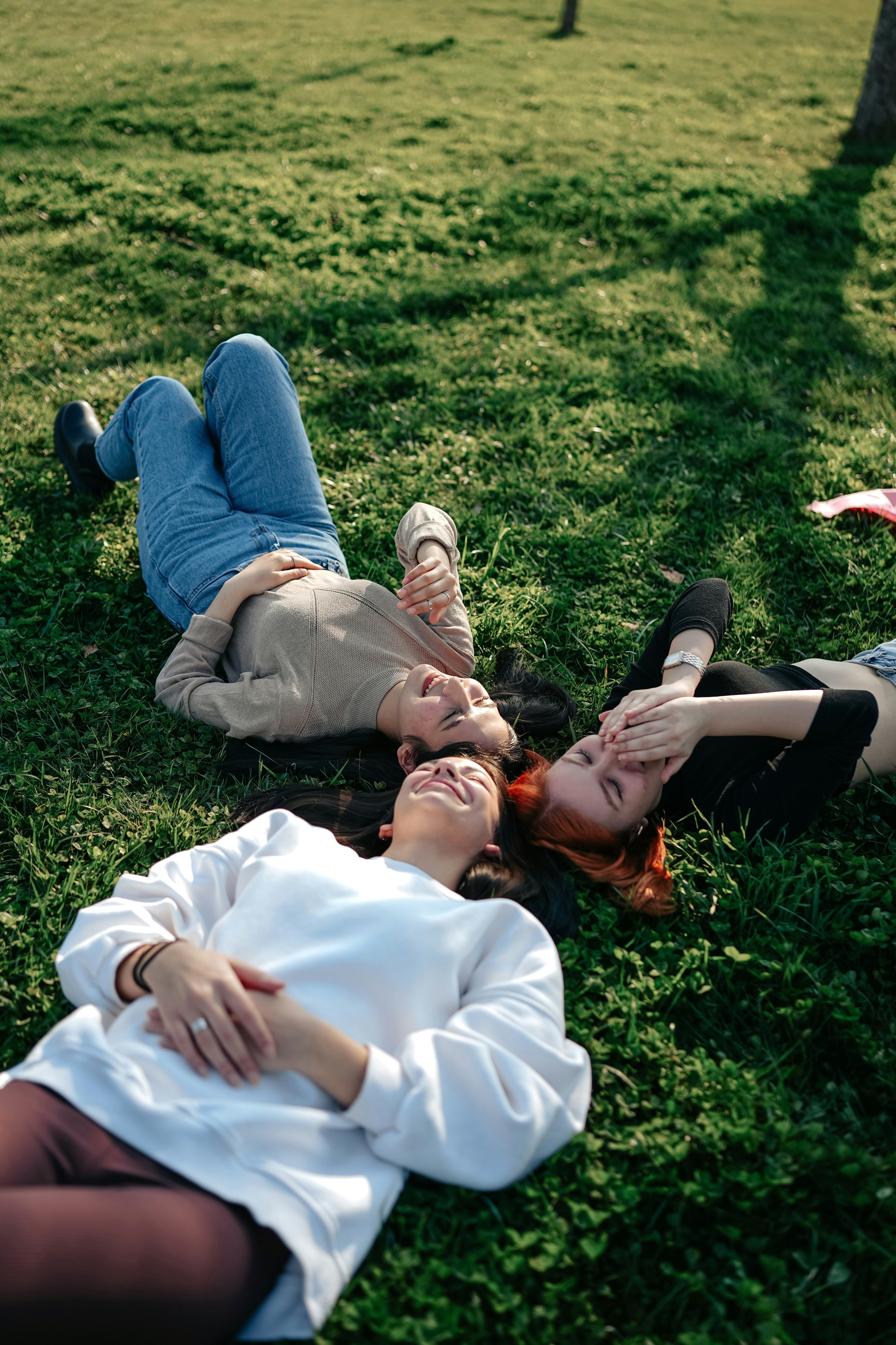 About ACME Truck Line: We Help Polish Haulers